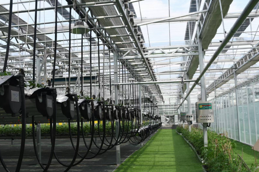 16768869088001634W7T.png 國金租賃農(nóng)業(yè)項目.png